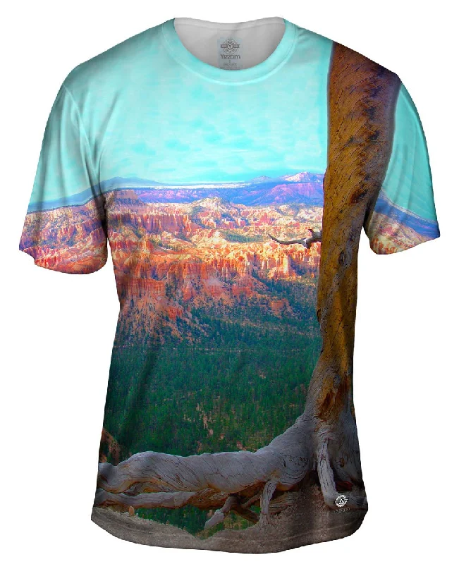Men's moisture - wicking athletic t - shirts for intense workoutsBryce Canyon National Park Men's moisture - wicking athletic t - shirts for intense workoutsBryce Canyon National Park