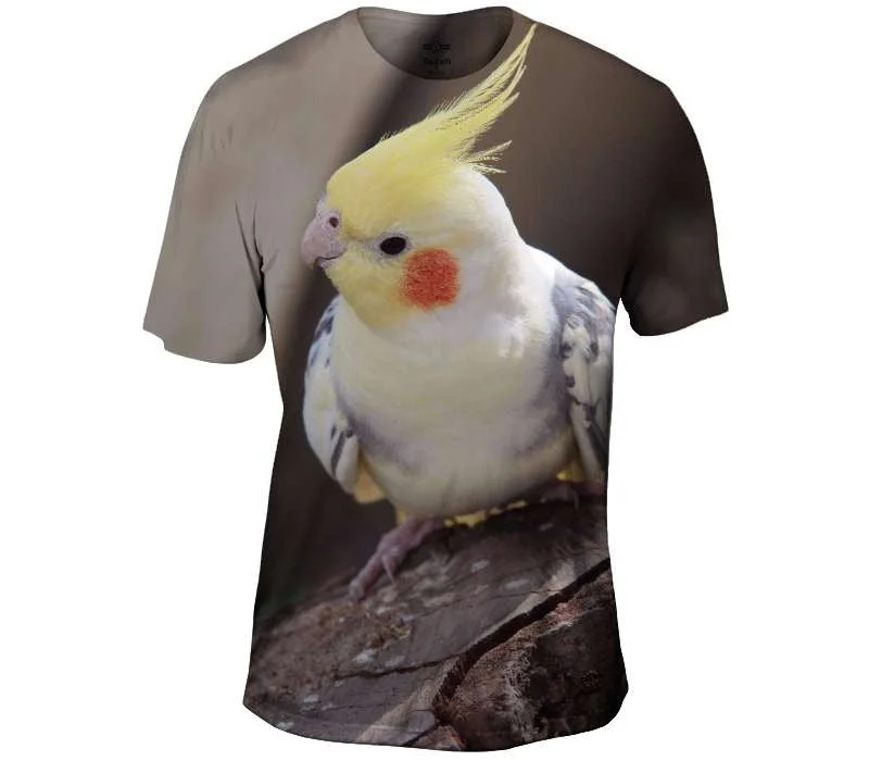 Men's polo t - shirts with a contrast collar for a preppy lookCockatiel Posing