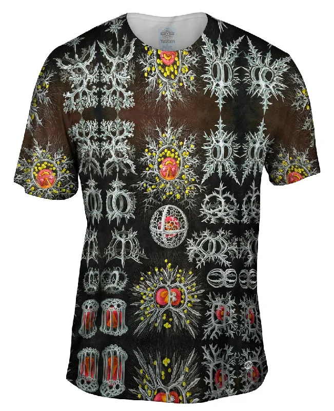 Men's organic cotton crew - neck t - shirts for everyday comfortErnst Haeckel - "Haeckel Stephoidea" (1904) Men's organic cotton crew - neck t - shirts for everyday comfortErnst Haeckel - "Haeckel Stephoidea" (1904)