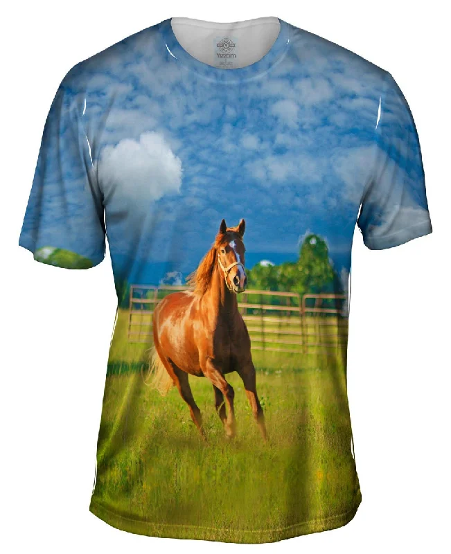 Men's button - front t - shirts with a unique artistic printRunning Golden Horse