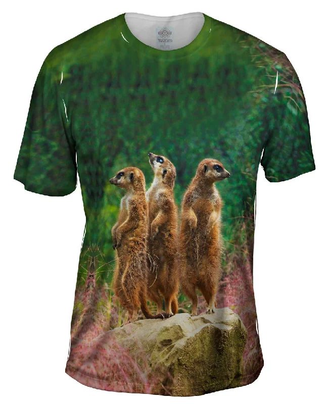 Men's long - sleeve henley t - shirts with button - down placketsThree Meerkats